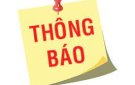 Thông báo V/v tổ chức đấu giá QSD đất ở tại MBQH các khu Dọc Lê thôn Thái Long, Trạm y tế thôn Tiến Long xã Cẩm Phú huyện Cẩm Thủy.